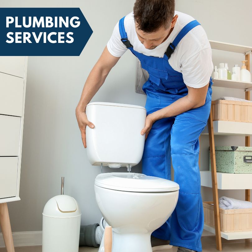 Plumbing Company in Ferris, IL